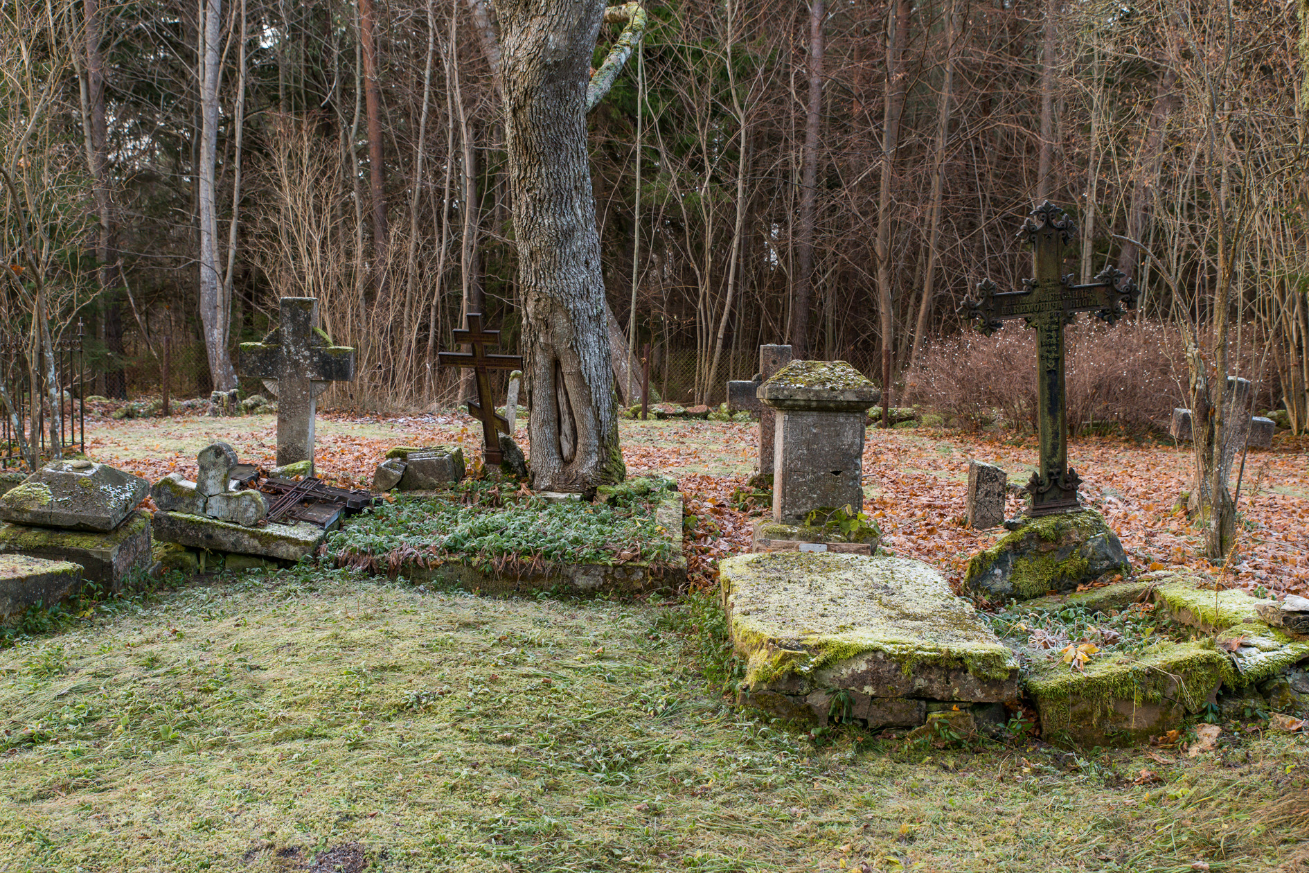 20161105-274-Torgu-kalmistu.jpg - 5.11.2016. Torgu kalmistu